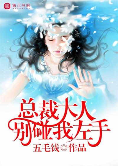 总裁大人别缠我
