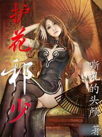 护花邪少方芳林楠