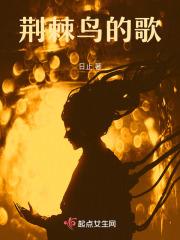 荆棘鸟的歌词