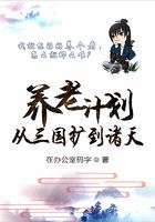 养老计划从三国扩展到诸天