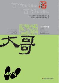 大哥云加速器官网