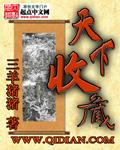 天下收藏2009年