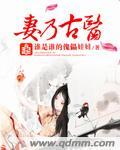 妻乃王下之王 作者宫槐知玉