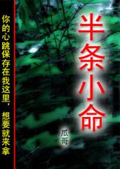 半条命的意思
