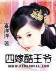 四嫁酷王爷免费完整版