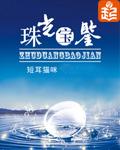 珠光宝鉴全集免费观看