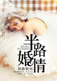半路婚途