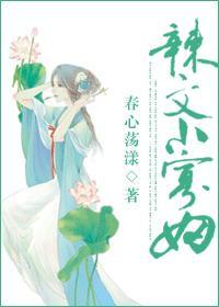 辣文小寡妇的番外