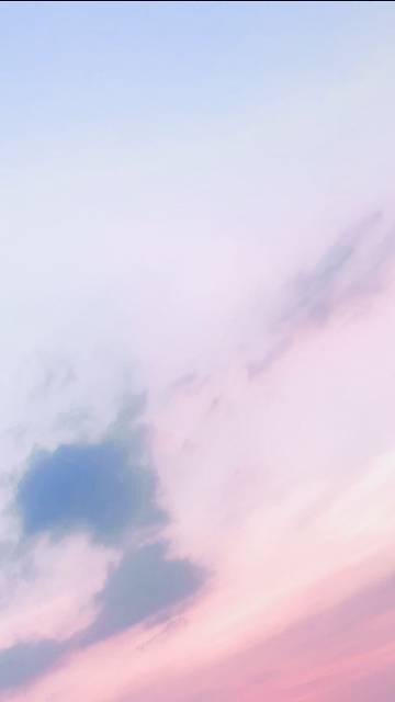 玫瑰雾讲什么