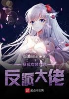 穿成女频文的反派大佬笔趣阁