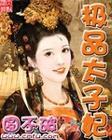 极品太子妃TXT