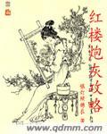 红楼之炮灰攻略txt百度