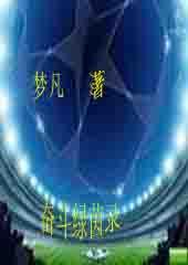 绿茵之战