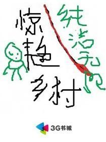 爆款乡村