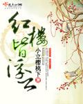 红楼皆浮云 TXT