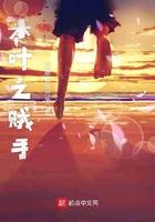 木叶之贼手TXT