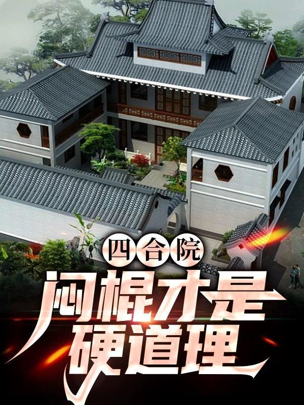 四合院掠夺才是硬道理