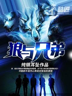 狼与兄弟李沙漠死了在哪一章