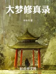 大梦录在线阅读