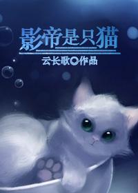 影帝是只喵洛白