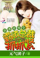 霸道首席追捕逃妻