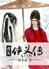 青天侠义传by烟水晶