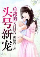 总裁的头号新宠 唐如酒00