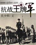 抗战之王牌军