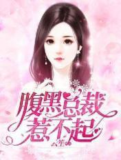 腹黑总裁惹不起作者云笙