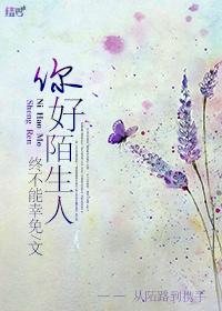 你好陌生人英文歌