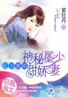 神秘墨少宠甜妻