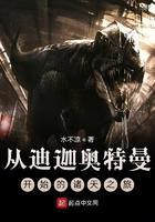 从迪迦开始的奥特之旅