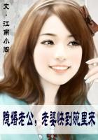 隐婚老公要给力免费阅读