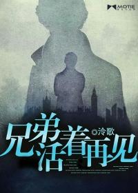 兄弟活着再见的内容简介