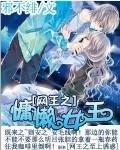 网球女王网王
