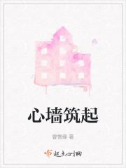 心中筑起一堵墙