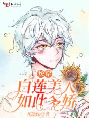 快穿白莲花