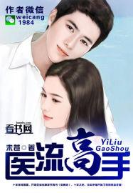 医流高手顶点