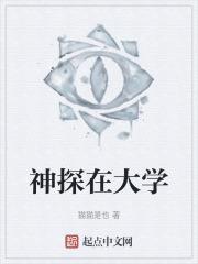 神探在讲什么