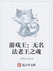 无名法老王的记忆是什么