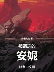 被遗忘的安妮游戏攻略