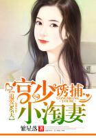 宫少追妻套路深全文免费阅读