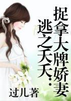 不想当将军的厨子