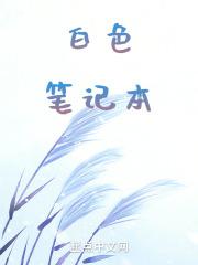 白色笔记本的10大忌