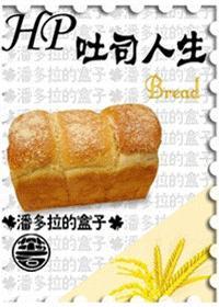 吐司人生 作者潘多拉的盒子