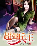 超强兵王林凡苏菲
