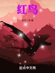 红鸟手机