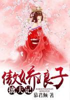 傲娇狐妻百科