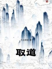 取道中庸