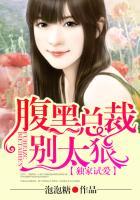 腹黑总裁追妻忙txt
